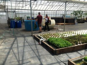 i-am-aquaponics-photos-from-ouroboros-farms-14