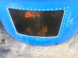 i-am-aquaponics-photos-from-ouroboros-farms-26