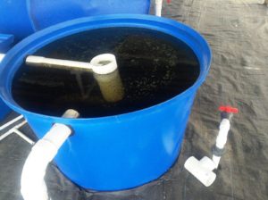 i-am-aquaponics-photos-from-ouroboros-farms-3