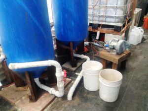 i-am-aquaponics-photos-from-ouroboros-farms-35