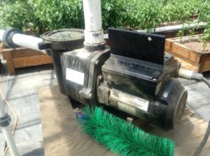 i-am-aquaponics-photos-from-ouroboros-farms-7