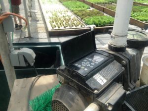 i-am-aquaponics-photos-from-ouroboros-farms-8