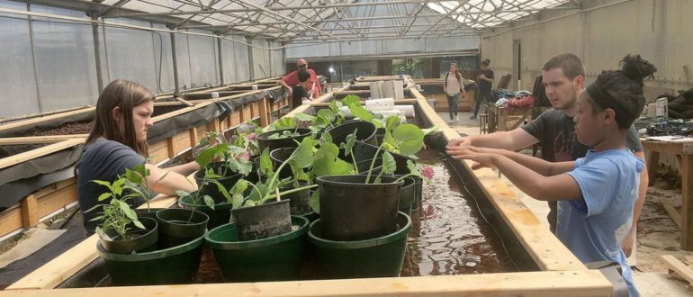 web1_m1-winners-edh-161031-1200x900