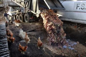 In this Nov. 15, 2013 photo, Ted Coles dumps a truckload of food scraps at Vermont Compost in Montpelier, Vt. Vermont has taken another step toward its ambitious goal of mandating statewide recycling, including the composting of food scraps, by creating universal symbols that will be used on trucks and containers for recycling, food scraps and trash. The law passed by the Legislature last year requires statewide recycling by 2015 and keeping food scraps out of landfills by 2020. (AP Photo/Toby Talbot)